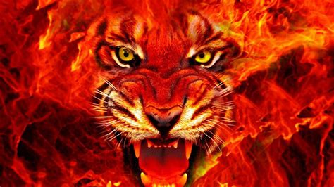 fire tiger wallpaper for laptop.